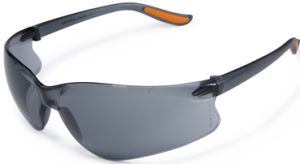 Protective Glass, Safety Goggles, Fargo Smoke Grey - Basic Plus