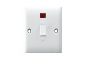 RR 20A DP 1 Gang Wall Switch Plate with Neon- W 1012